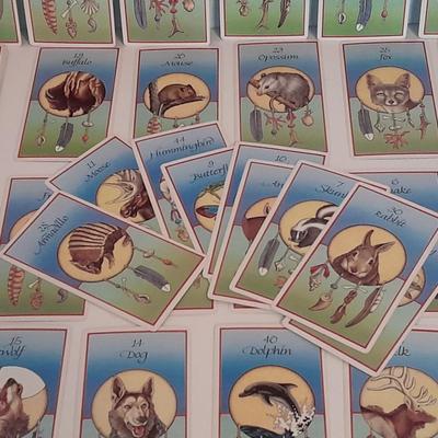 Jamie Sams & David Carson Medicine cards set with medicine cards hardback book.