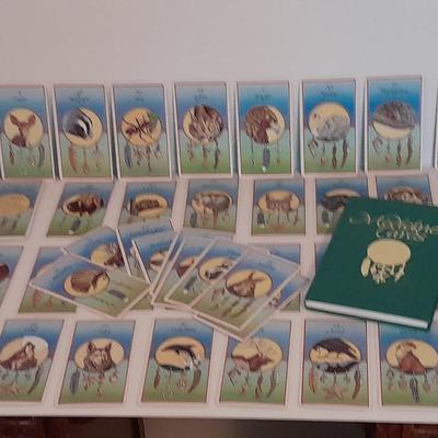 Jamie Sams & David Carson Medicine cards set with medicine cards hardback book.