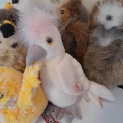 Collection of Plush birds, Chicken & baby, flamingo, owls, hawk and eagle