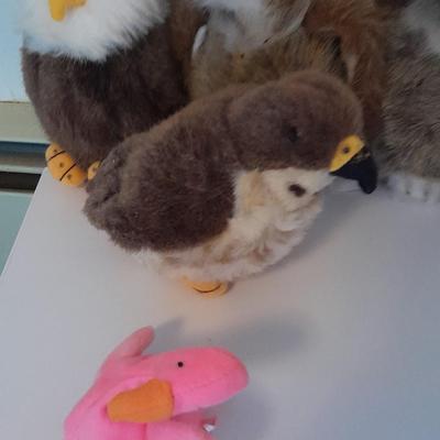 Collection of Plush birds, Chicken & baby, flamingo, owls, hawk and eagle