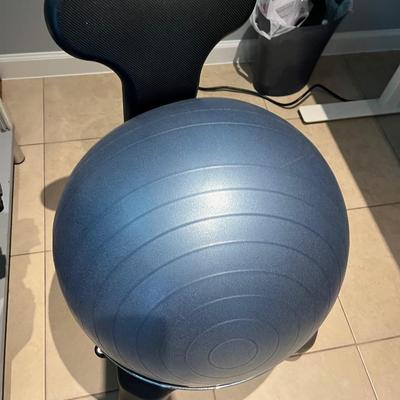 Exercise Ball with Holder