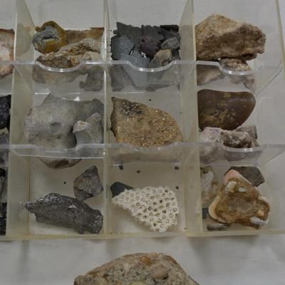 Rock Collection with Fossils & Coral