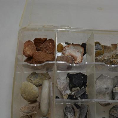 Rock Collection with Fossils & Coral