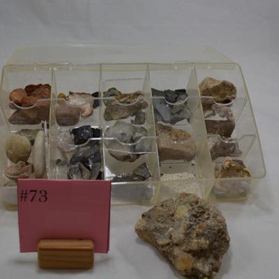 Rock Collection with Fossils & Coral