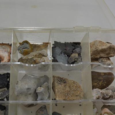 Rock Collection with Fossils & Coral