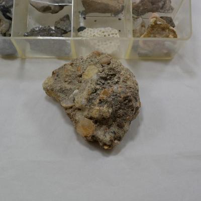 Rock Collection with Fossils & Coral