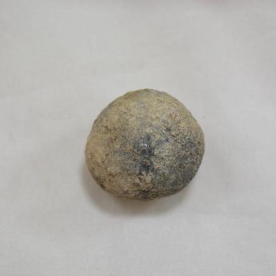 Rock Collection with Fossils & Coral