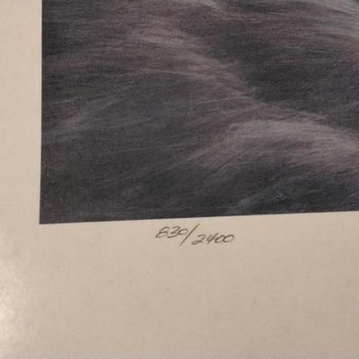 Catching the Scent. Signed/Numbered 830/2400 Strict Limited/COA