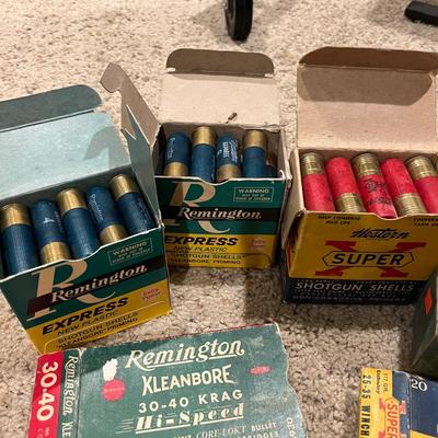 Lot of Ammunition