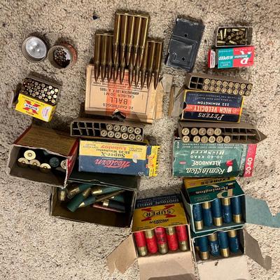 Lot of Ammunition