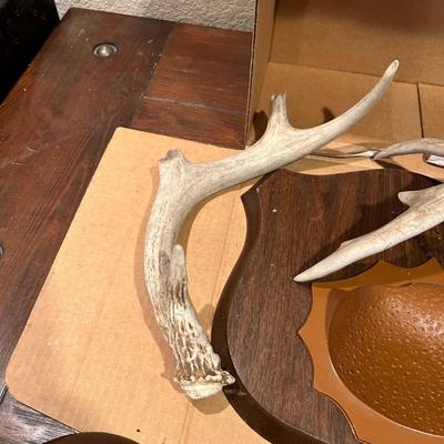 Antler Mounting Kit and Backplates