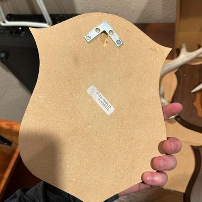 Antler Mounting Kit and Backplates