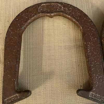 Pitching Horse Shoes