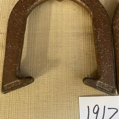 Pitching Horse Shoes