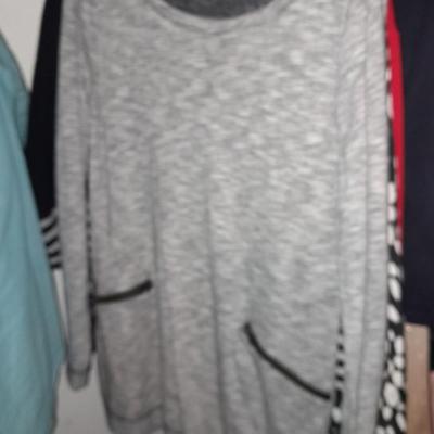 20 Long Sleeve tops two new with tags - Coldwater Creek - St. John - Da -Rue - Merona Size Medium and Large