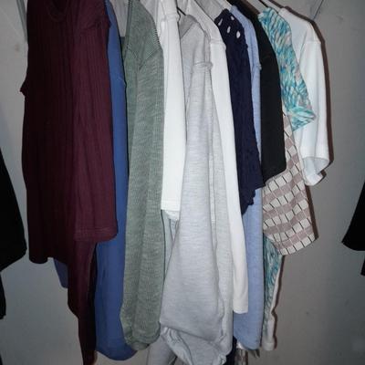12 Short sleeve tops - Loz Claiborne - Under Armor - Tan Jay and others sizes Medium - Large