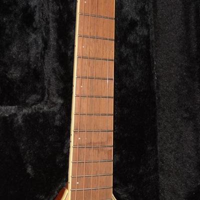 WASHBURN Rover Travel Guitar with Case, Accessories