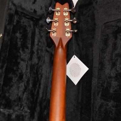 WASHBURN Rover Travel Guitar with Case, Accessories