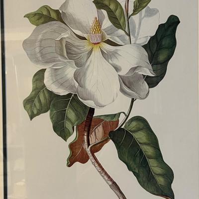 Botanical Art (DR-RG)