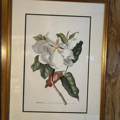 Botanical Art (DR-RG)