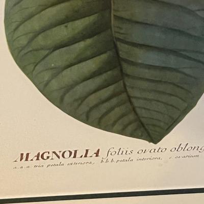 Botanical Art (DR-RG)