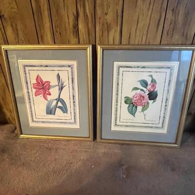 Botanical Art (DR-RG)