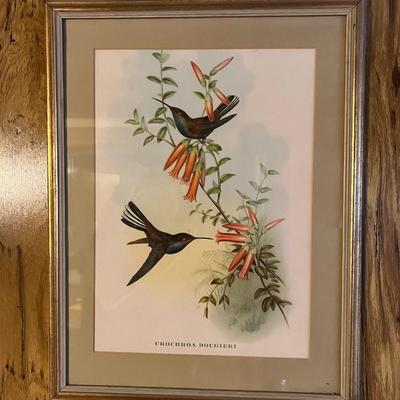 Botanical Art (DR-RG)