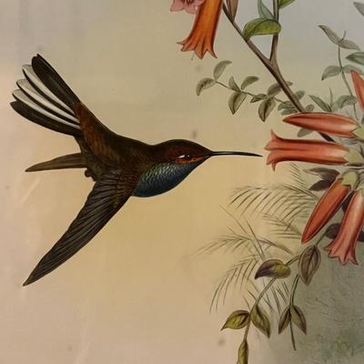 Botanical Art (DR-RG)