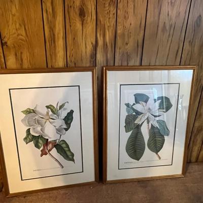 Botanical Art (DR-RG)