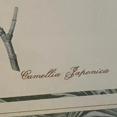 Botanical Art (DR-RG)