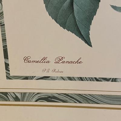 Botanical Art (DR-RG)