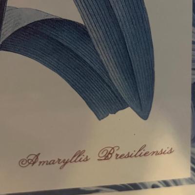 Botanical Art (DR-RG)