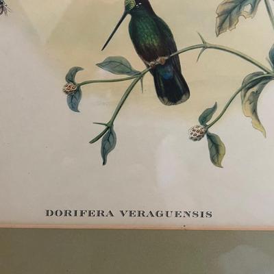 Botanical Art (DR-RG)