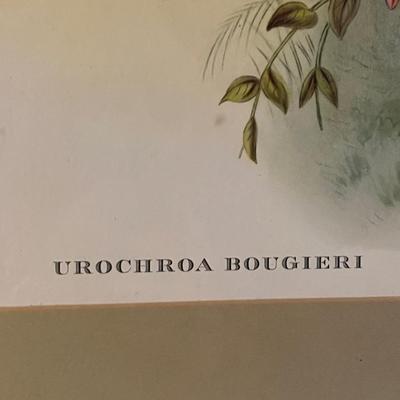 Botanical Art (DR-RG)