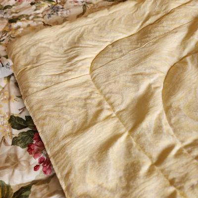 Burlington House Home Fashions King Size Bed Comforter & Pillow covers