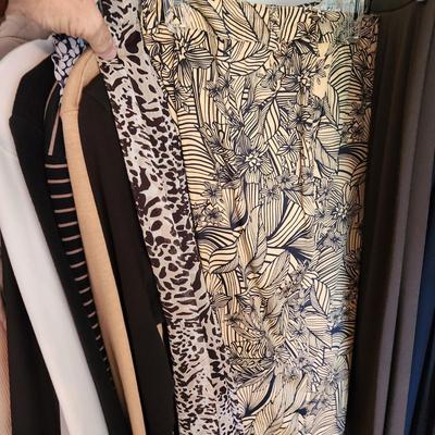 Large Lot Women's Clothing See Pictures includes Hangers