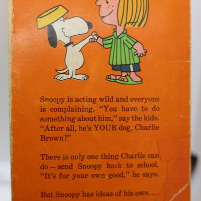 SNOOPY - Hot Dog Coin Bank, Plate, Book, (4) Snoopy Ornaments, Large Flag