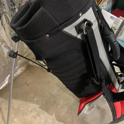 Penn Self Standing Clean Golf Bag