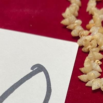 Vintage Small Shell Necklaces
