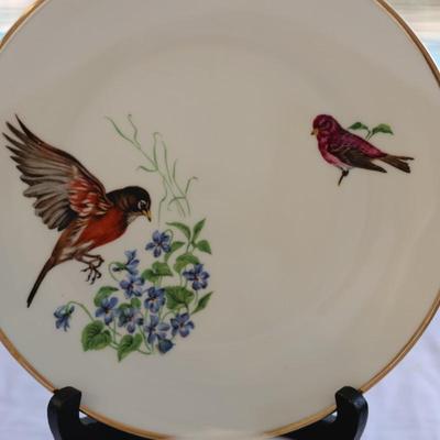 Mottahedeh Porcelain Aviary Collection - Set of (9)