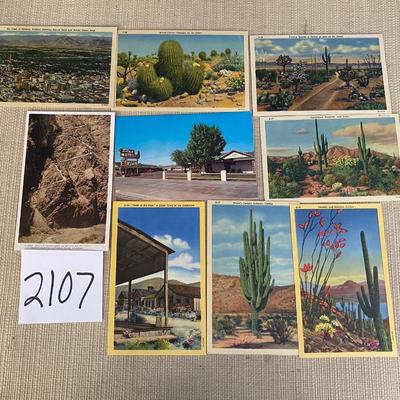Vintage Cactus Postcards