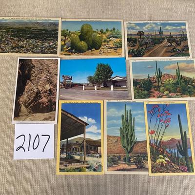 Vintage Cactus Postcards