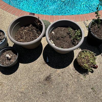 (6) Plants Pots