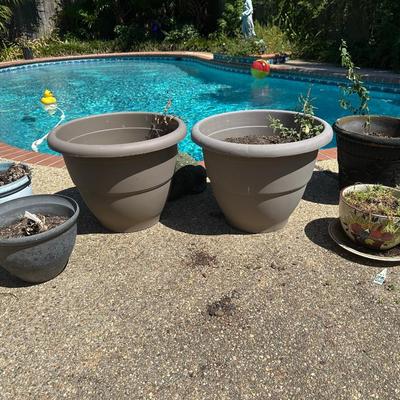 (6) Plants Pots