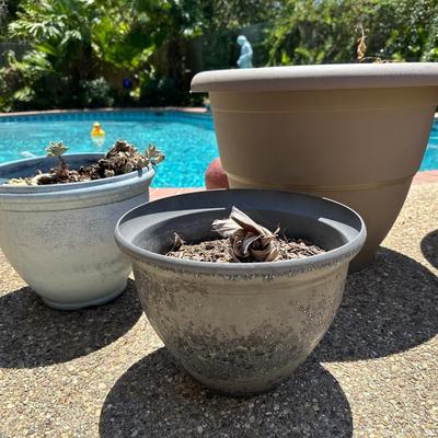 (6) Plants Pots