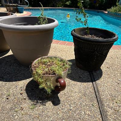 (6) Plants Pots