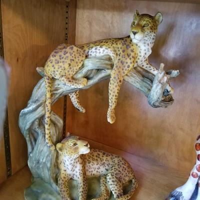 Animals