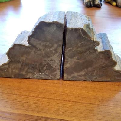 Petrified Wood Book Ends