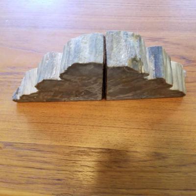 Petrified Wood Book Ends