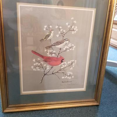 Birds Lithograph